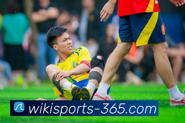 维基体育官网全站App